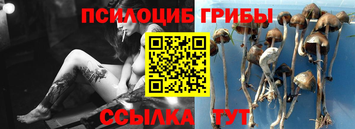 Галлюциногенные грибы мицелий Махачкала